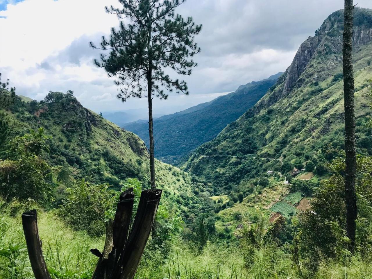 Belmount Ella Hotel Bagian luar foto