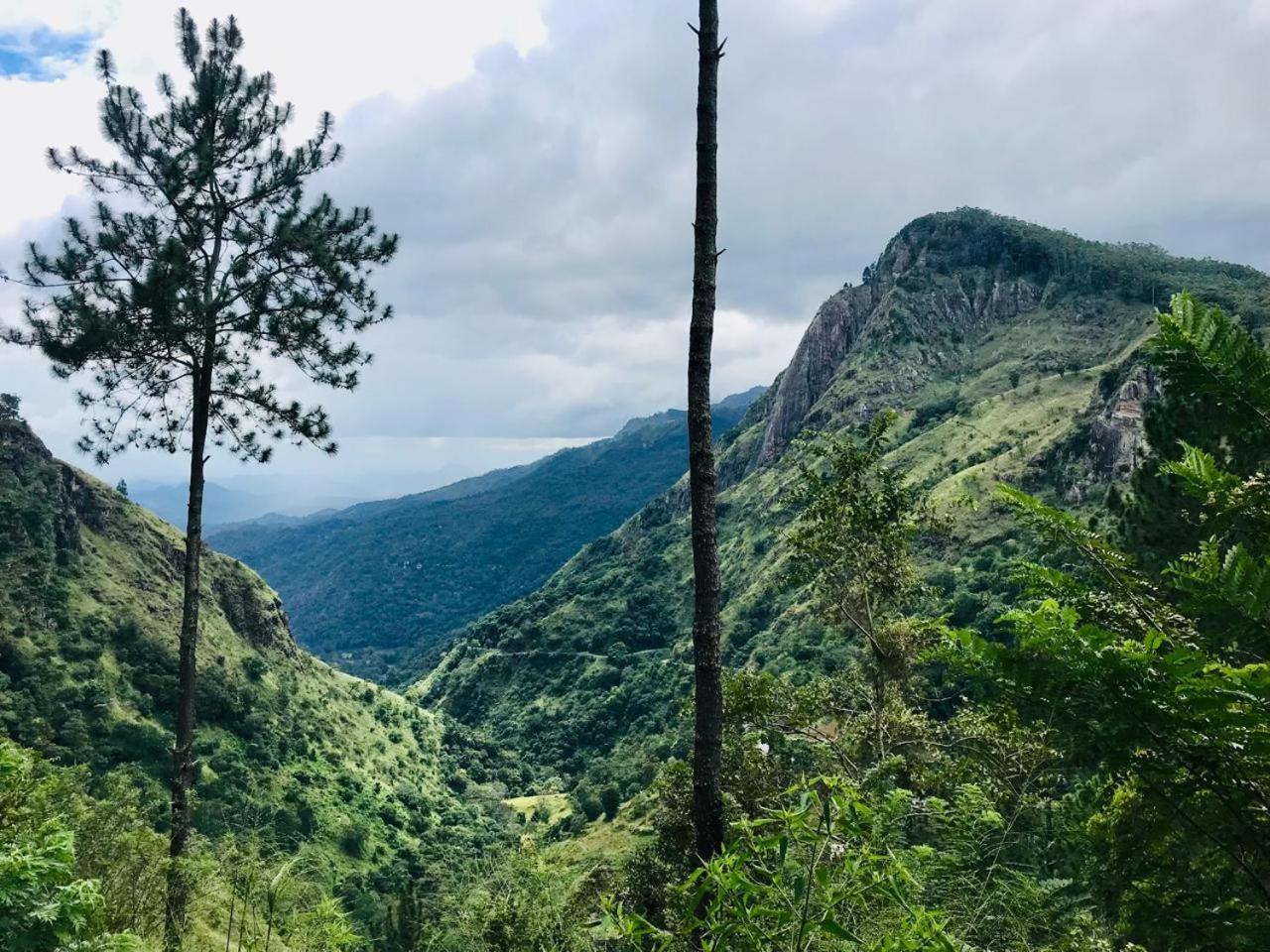 Belmount Ella Hotel Bagian luar foto