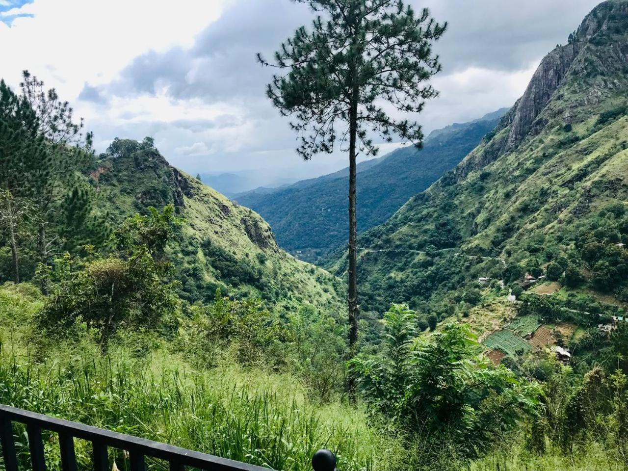 Belmount Ella Hotel Bagian luar foto